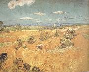 Vincent Van Gogh, Wheat Stacks wtih Reaper (nn04)
